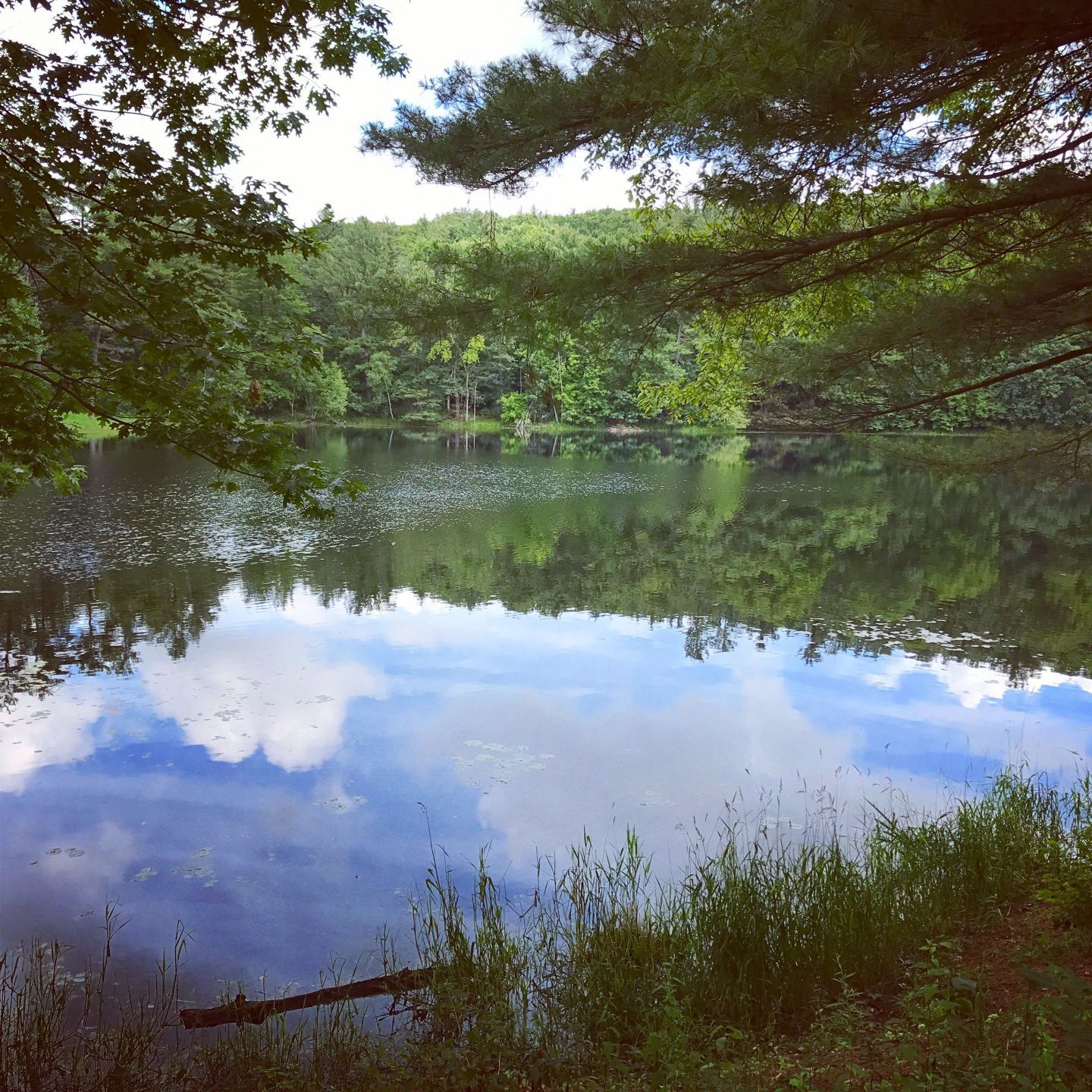 Reflections